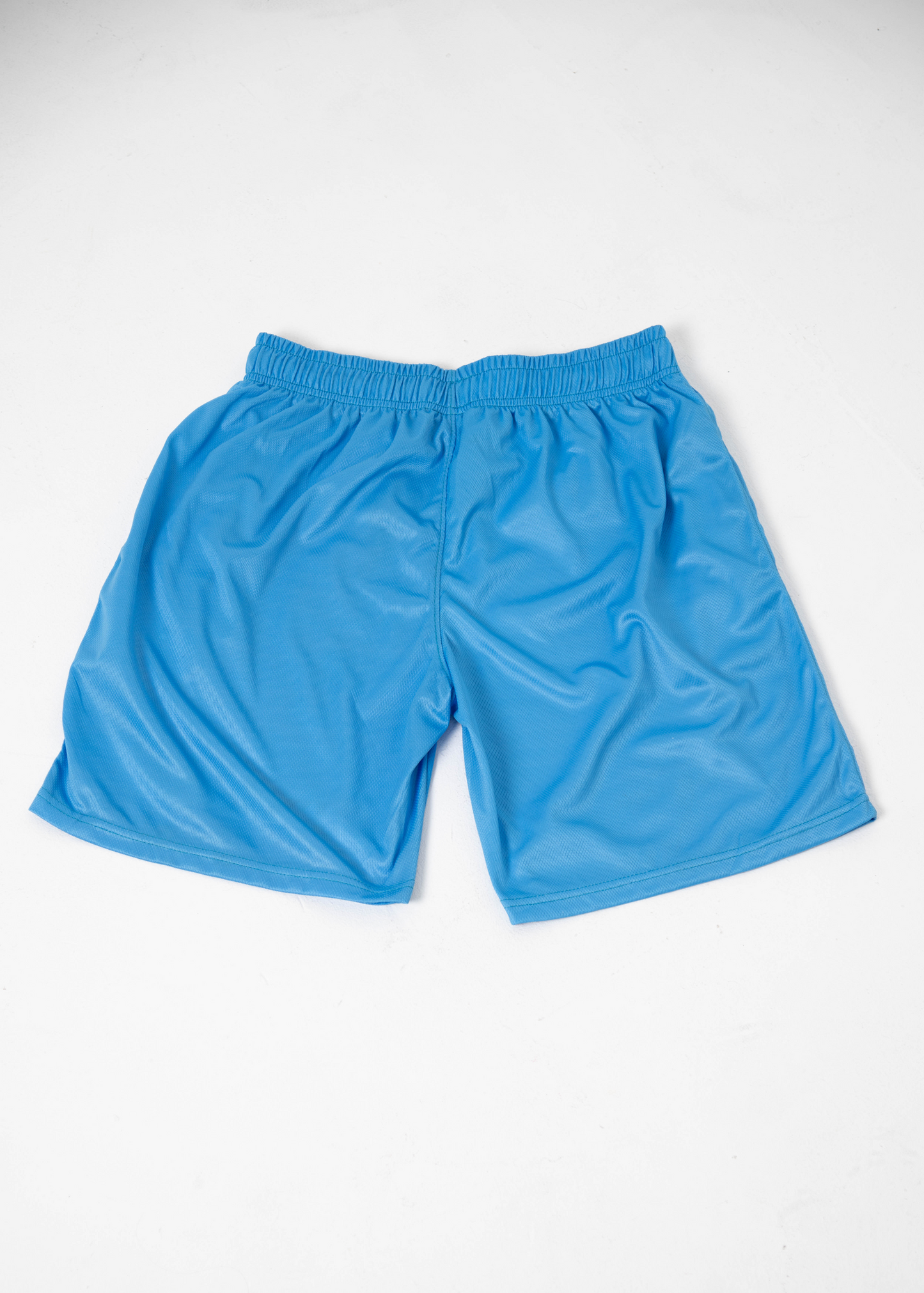 .Blue Mesh Shorts