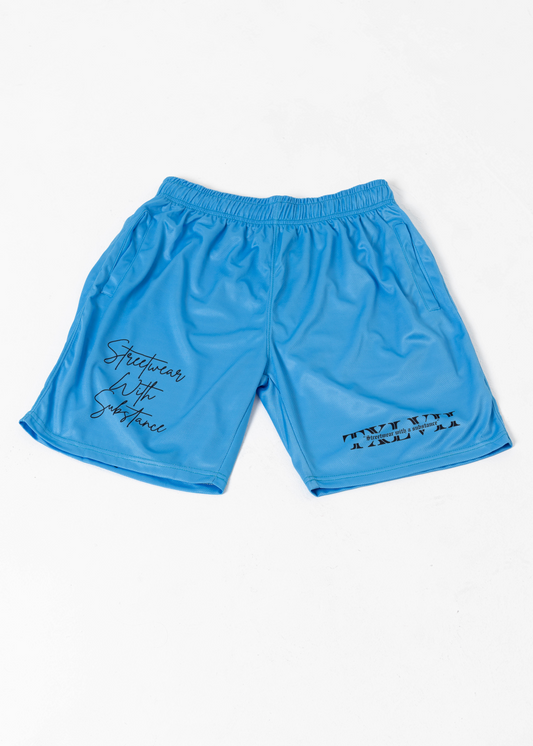 .Blue Mesh Shorts